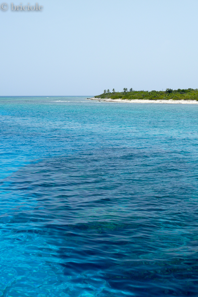 A slice of Little Cayman from a boat